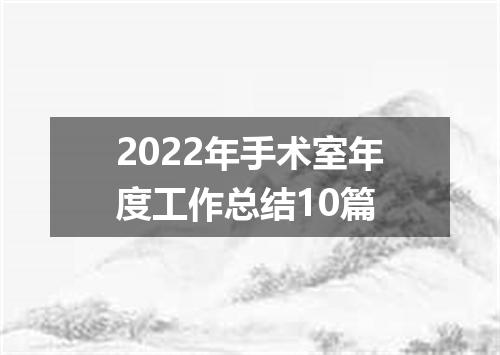2022年手术室年度工作总结10篇
