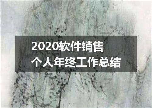 2020软件销售个人年终工作总结