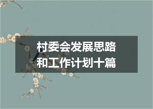 村委会发展思路和工作计划十篇