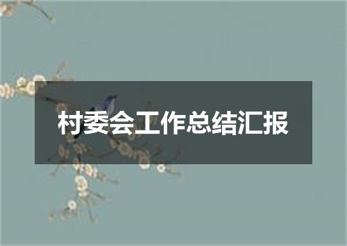 村委会工作总结汇报