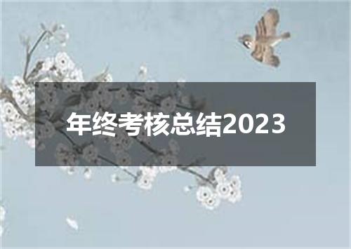 年终考核总结2023