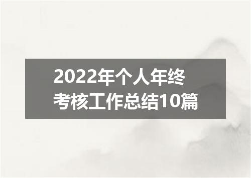 2022年个人年终考核工作总结10篇