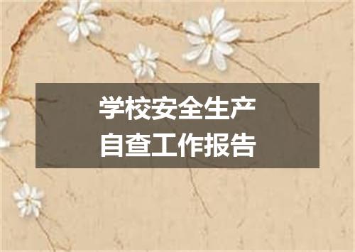 学校安全生产自查工作报告