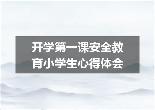 开学第一课安全教育小学生心得体会