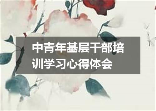 中青年基层干部培训学习心得体会