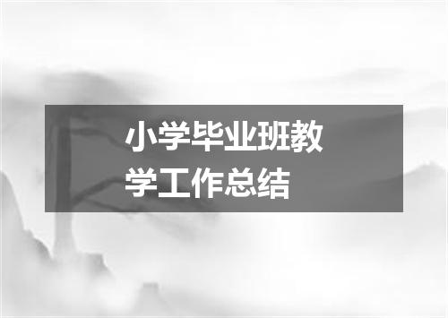 小学毕业班教学工作总结
