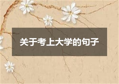 关于考上大学的句子