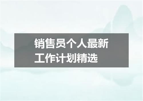 销售员个人最新工作计划精选