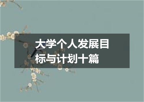 大学个人发展目标与计划十篇
