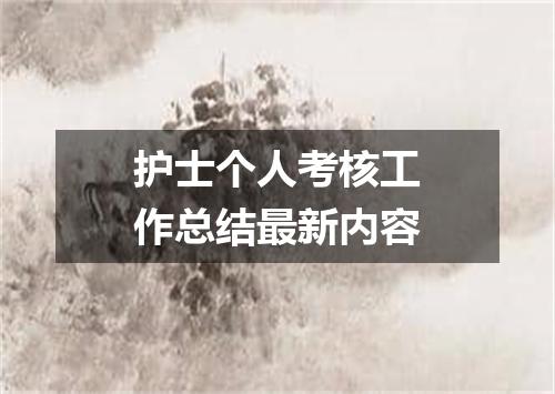 护士个人考核工作总结最新内容