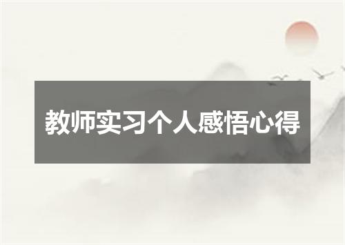 教师实习个人感悟心得