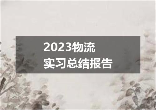 2023物流实习总结报告