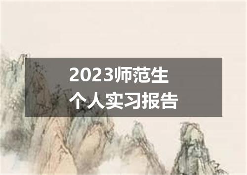 2023师范生个人实习报告