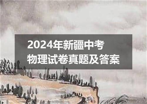 2024年新疆中考物理试卷真题及答案
