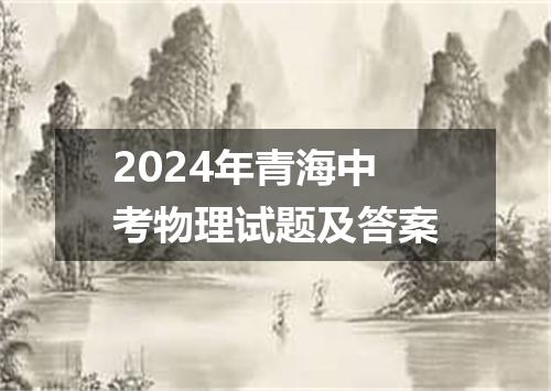 2024年青海中考物理试题及答案