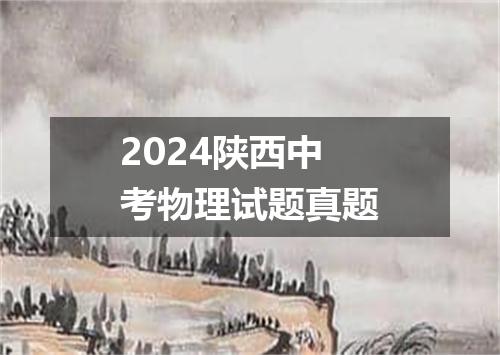 2024陕西中考物理试题真题