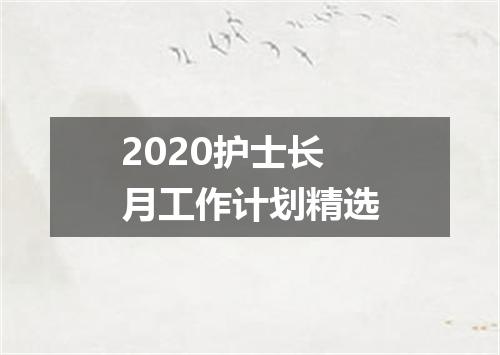 2020护士长月工作计划精选