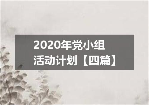 2020年党小组活动计划【四篇】
