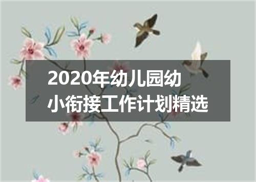 2020年幼儿园幼小衔接工作计划精选