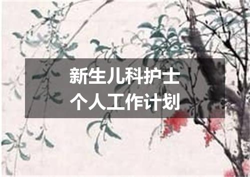 新生儿科护士个人工作计划