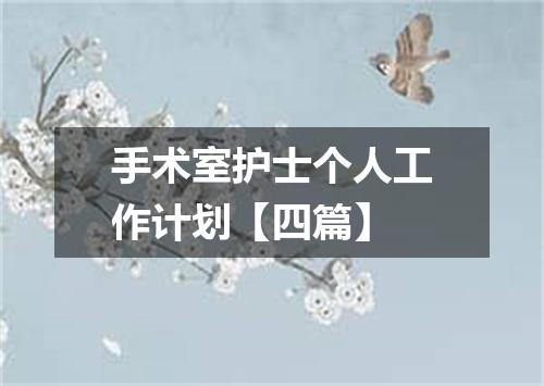 手术室护士个人工作计划【四篇】