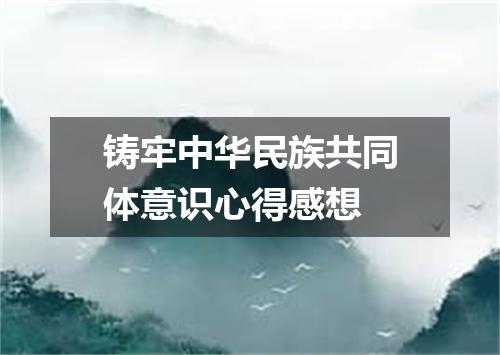 铸牢中华民族共同体意识心得感想