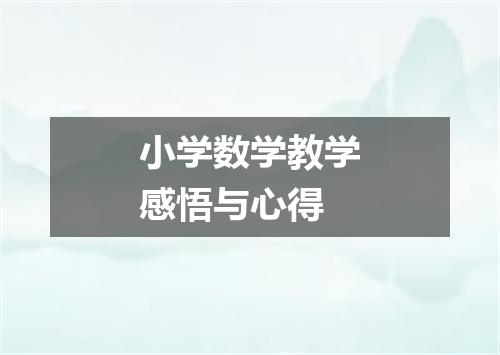 小学数学教学感悟与心得