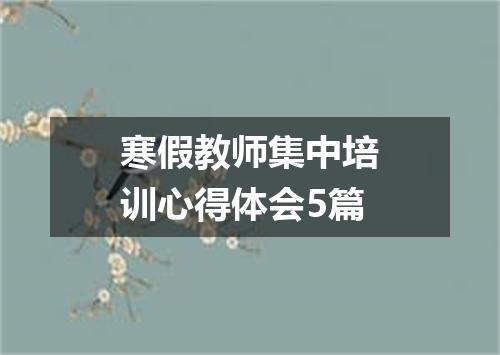 寒假教师集中培训心得体会5篇