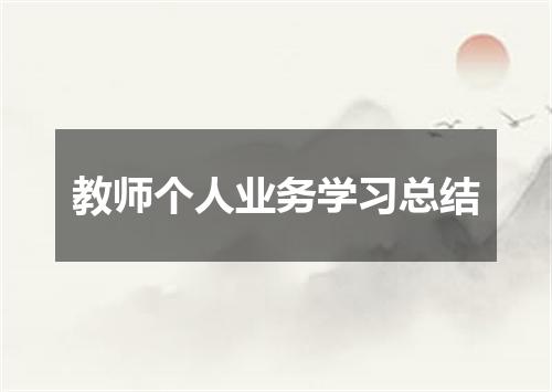 教师个人业务学习总结
