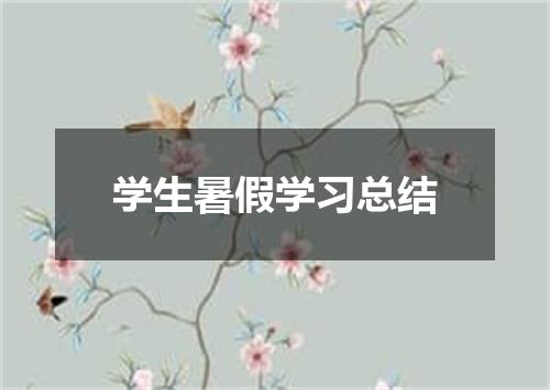 学生暑假学习总结