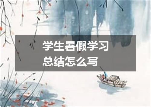 学生暑假学习总结怎么写