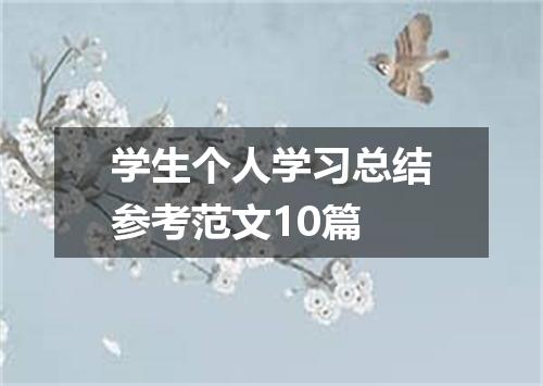 学生个人学习总结参考范文10篇