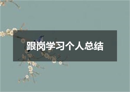 跟岗学习个人总结