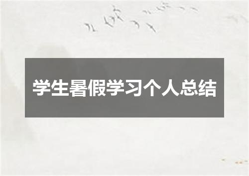 学生暑假学习个人总结