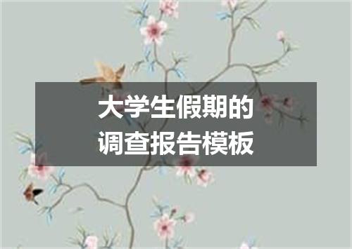 大学生假期的调查报告模板