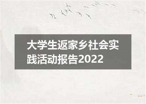 大学生返家乡社会实践活动报告2022