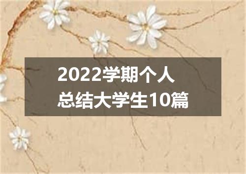2022学期个人总结大学生10篇