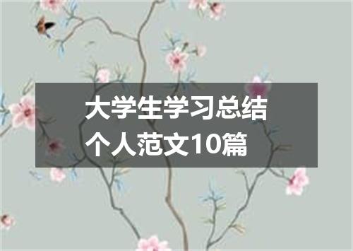 大学生学习总结个人范文10篇