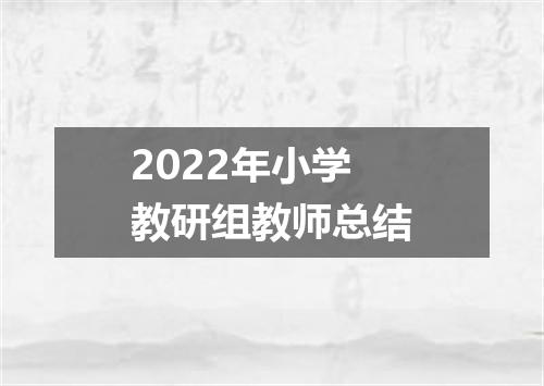 2022年小学教研组教师总结
