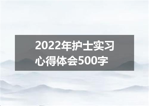 2022年护士实习心得体会500字