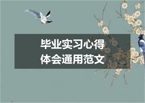 毕业实习心得体会通用范文