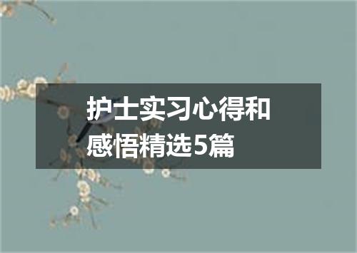 护士实习心得和感悟精选5篇