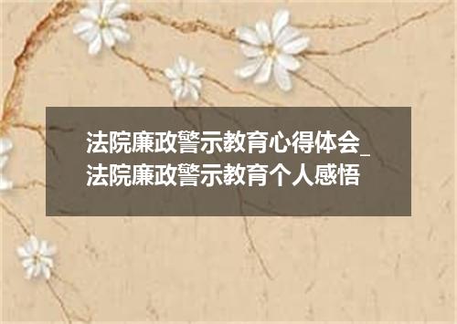 法院廉政警示教育心得体会_法院廉政警示教育个人感悟