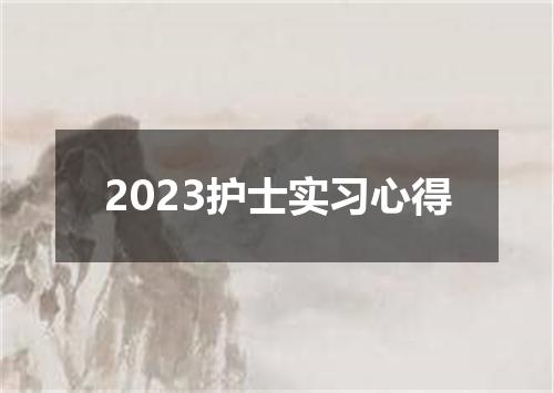 2023护士实习心得