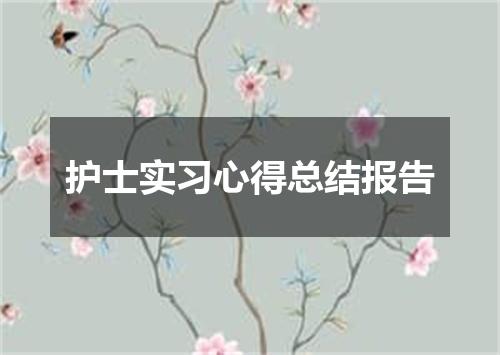 护士实习心得总结报告