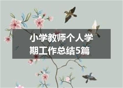 小学教师个人学期工作总结5篇