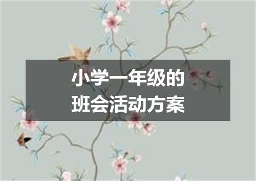 小学一年级的班会活动方案