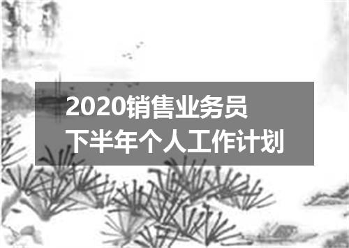 2020销售业务员下半年个人工作计划