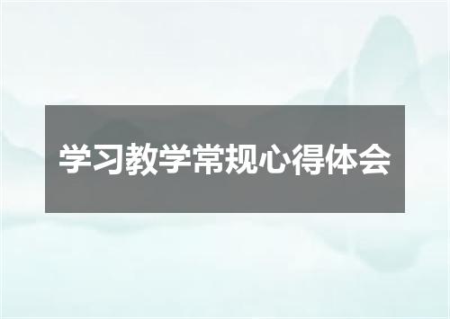 学习教学常规心得体会