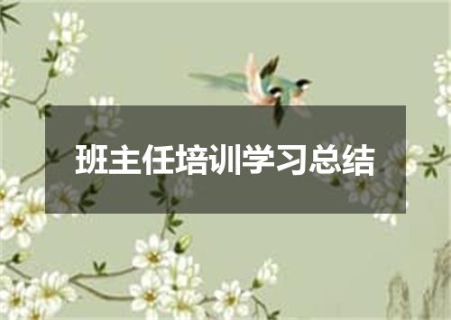 班主任培训学习总结